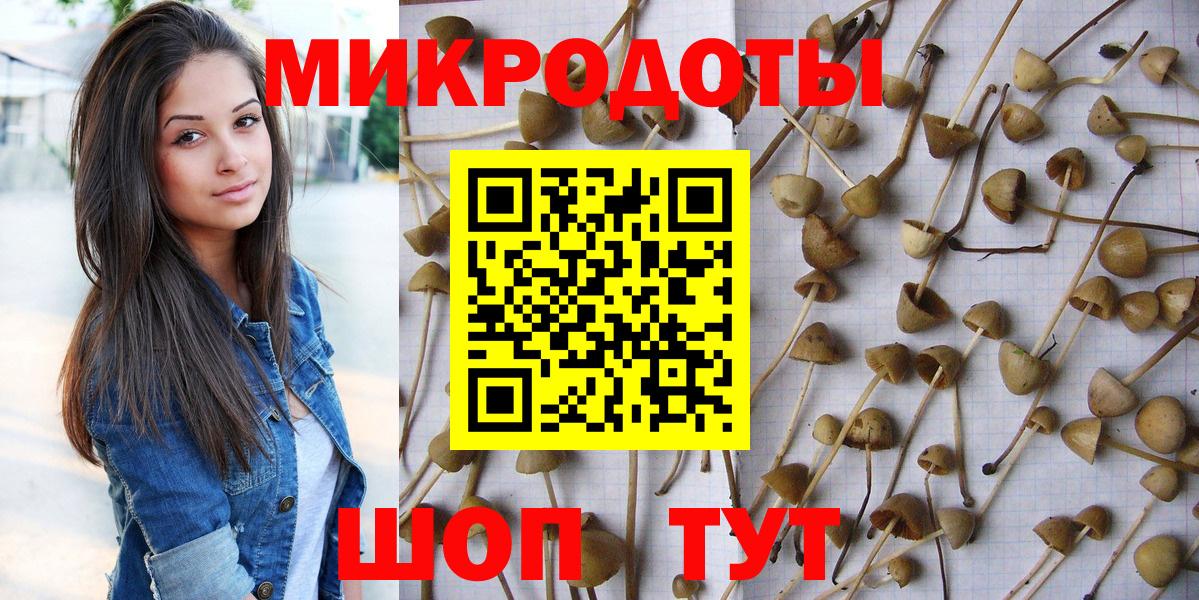 Галлюциногенные грибы Psilocybe  Вход с VPN  Галлюциногенные грибы прущие грибы  Белореченск 