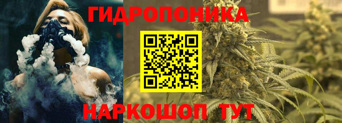 Марихуана план  МАРИХУАНА сатива  Канабис тримм  Вход с VPN  Белореченск 